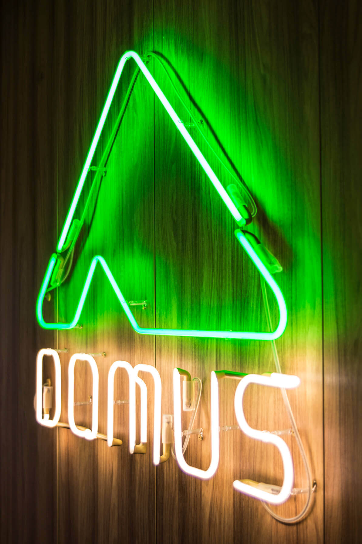 neon-domus-neon-beleuchtet-neon-an-einer-hölzernen-wand-neon-innen-neon-im-büro-neon-auf-demand-neon-architekten-farbe-grün-weiß-neon-an-der-wand-neon-buchstaben